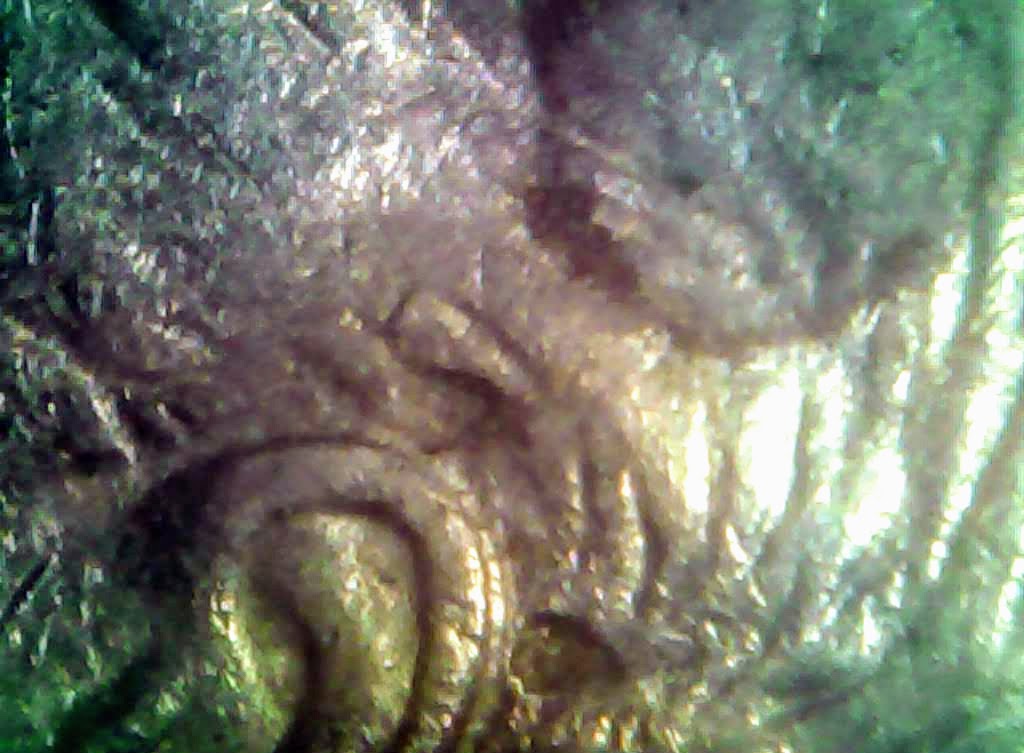 0219-17.jpg