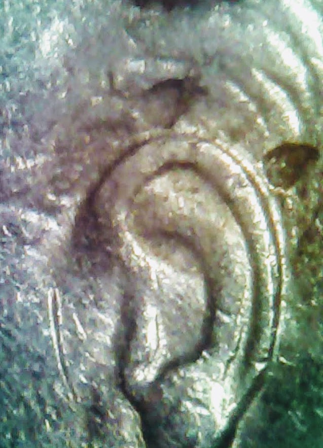 0219-19.jpg