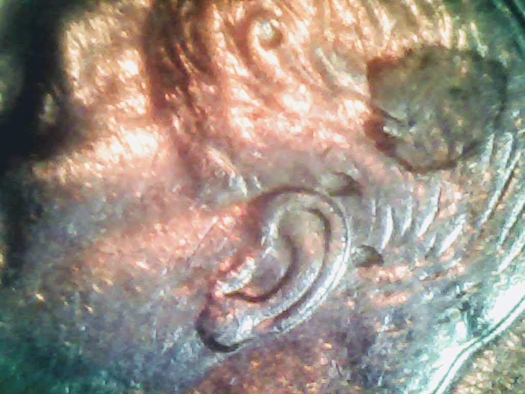 0219-2.jpg