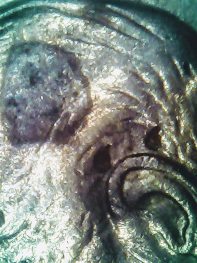 0219-4.jpg