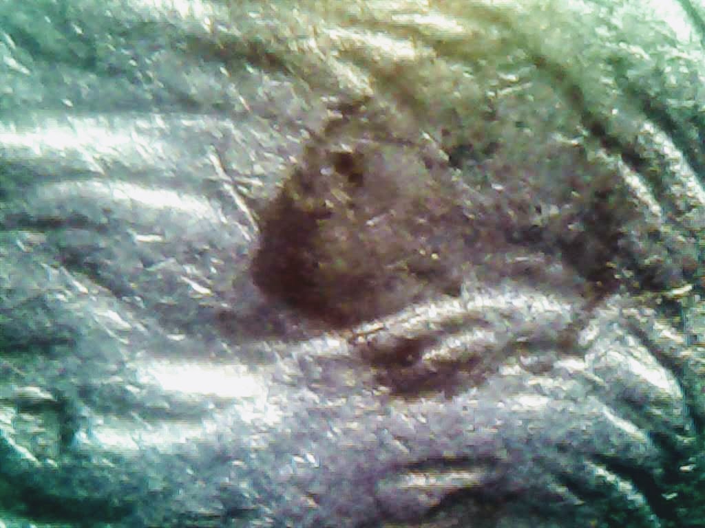 0219-8.jpg