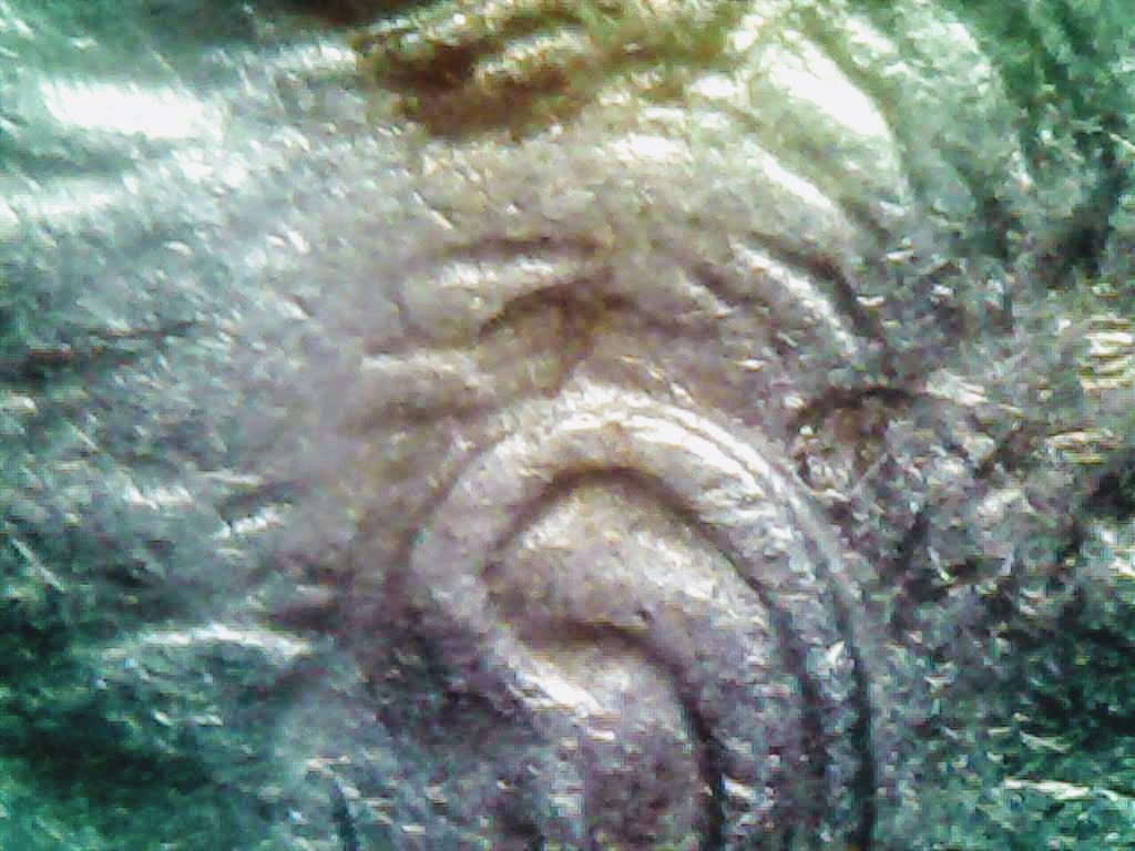 0219-9.jpg