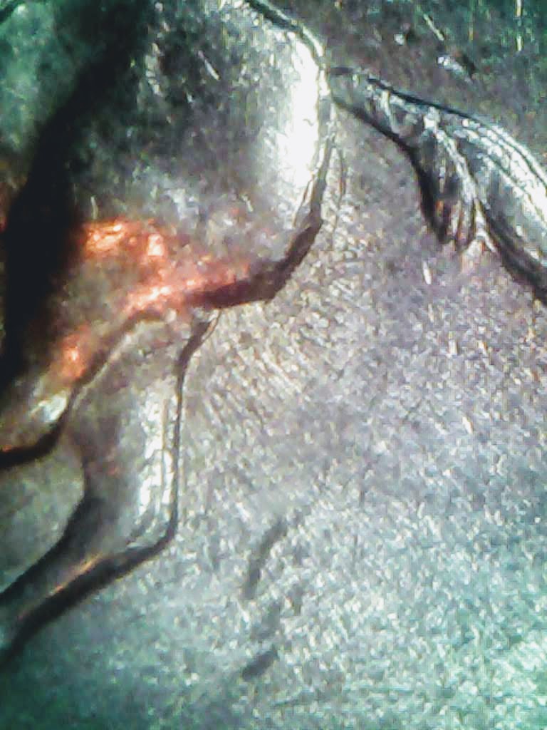 0220-10.jpg