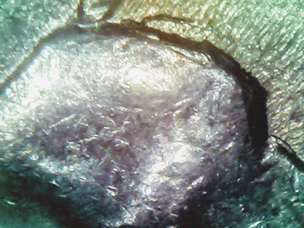 0220-12.jpg
