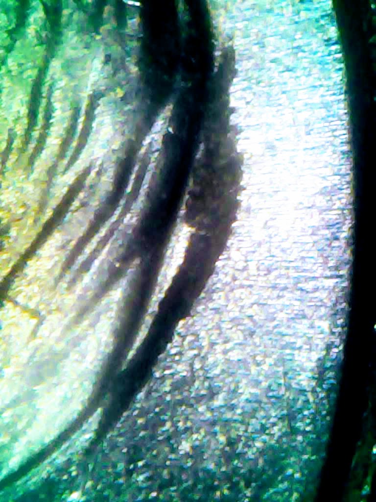 0220-4.jpg