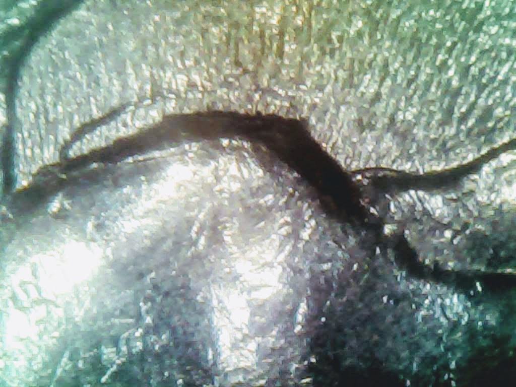 0220-9.jpg