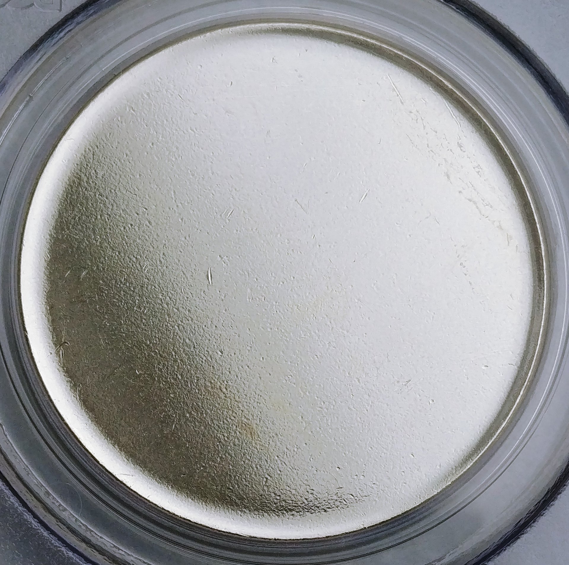 0220191530_HDR.jpg