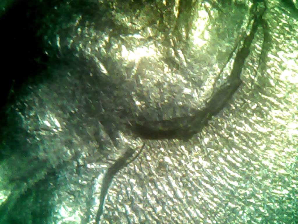 0220_1.jpg