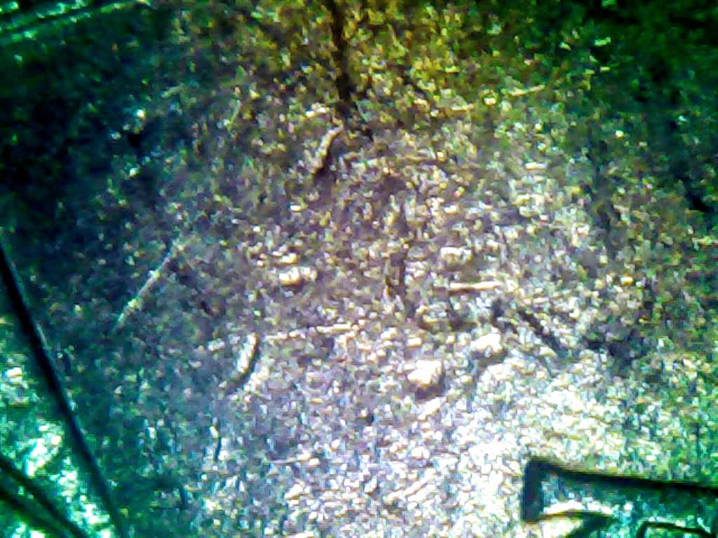 0222-3.jpg