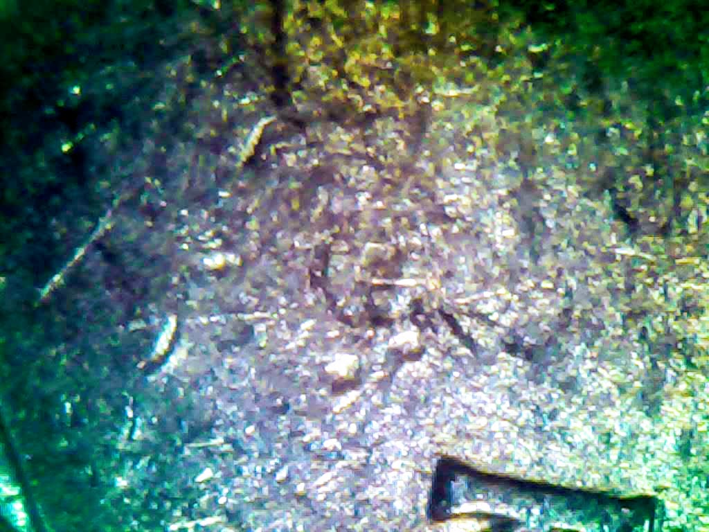 0222-4.jpg
