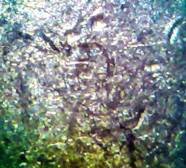 0222-5.jpg