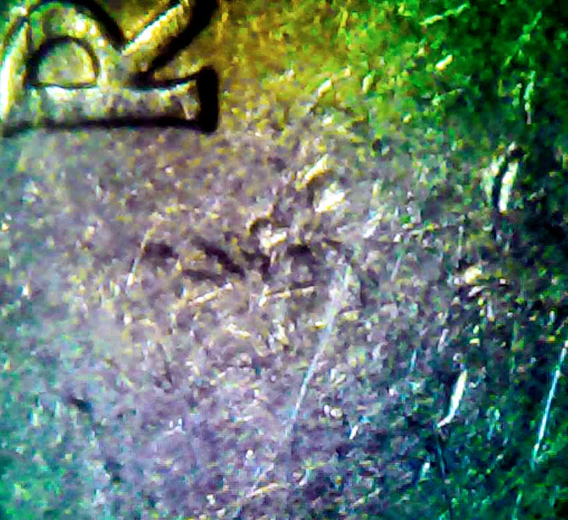 0222-7.jpg