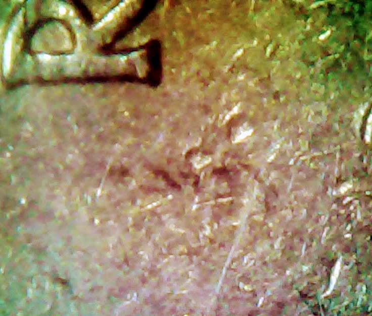 0222-8.jpg