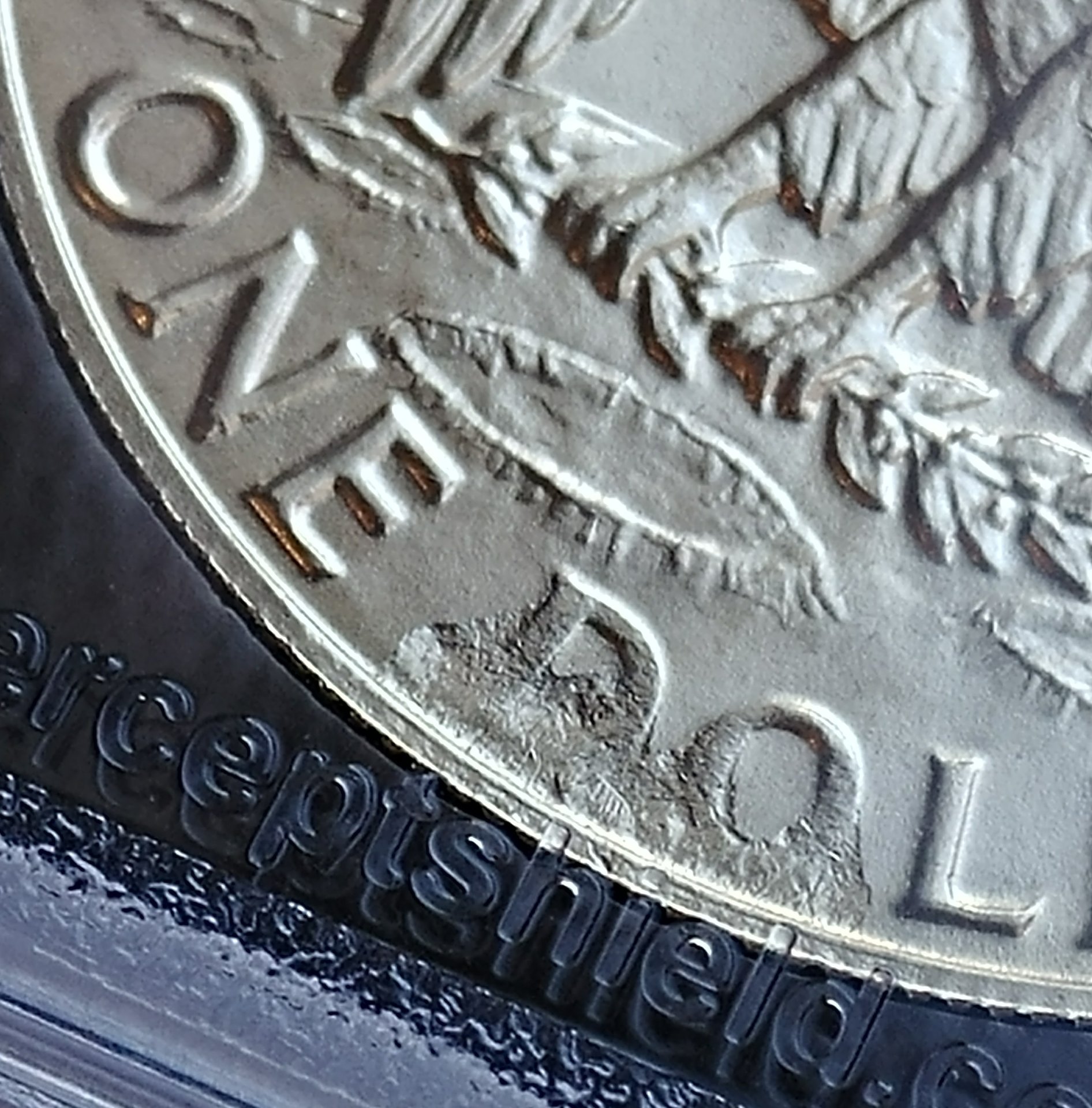 0222181555_HDR.jpg