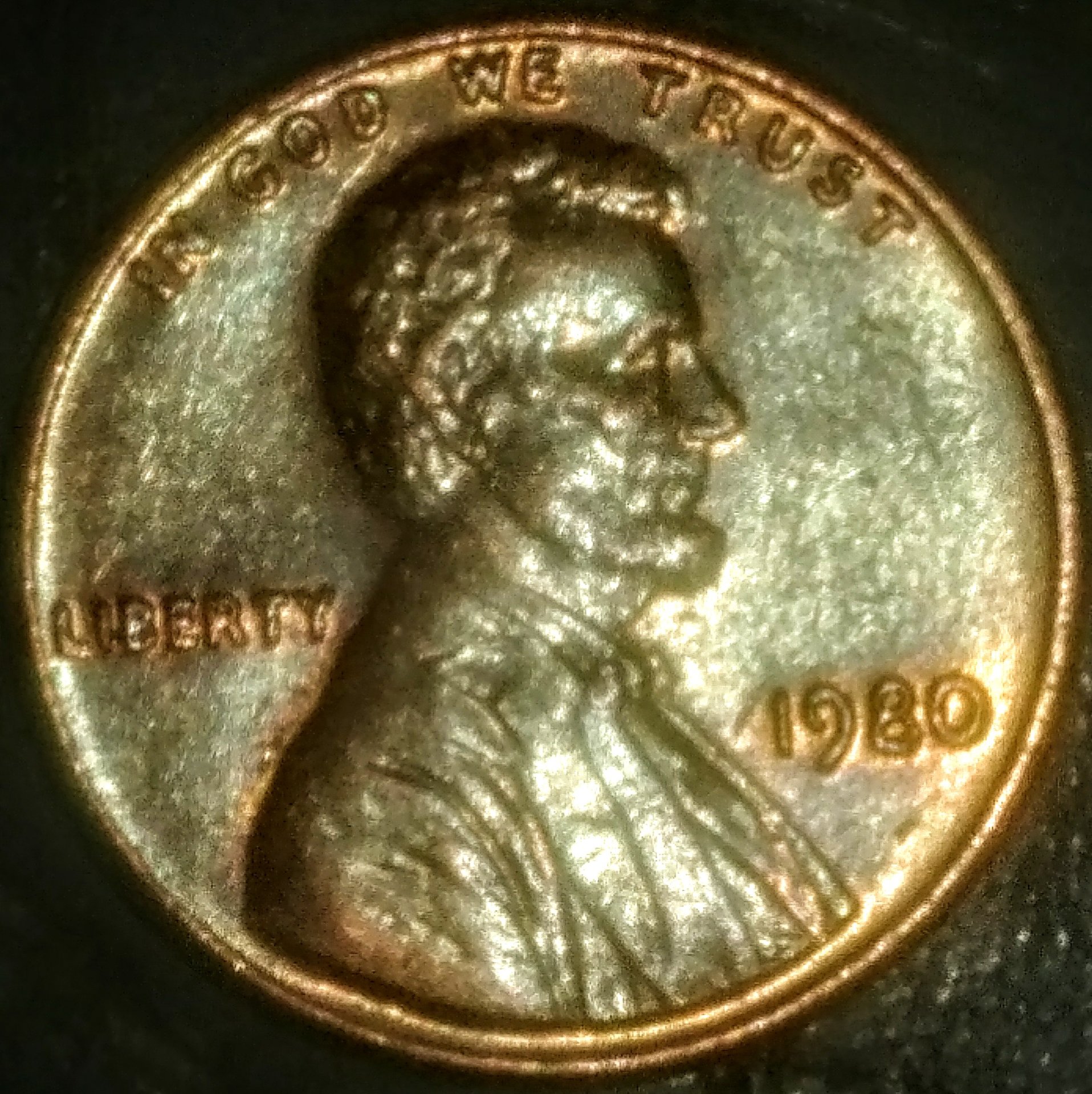 0222190511c~2.jpg