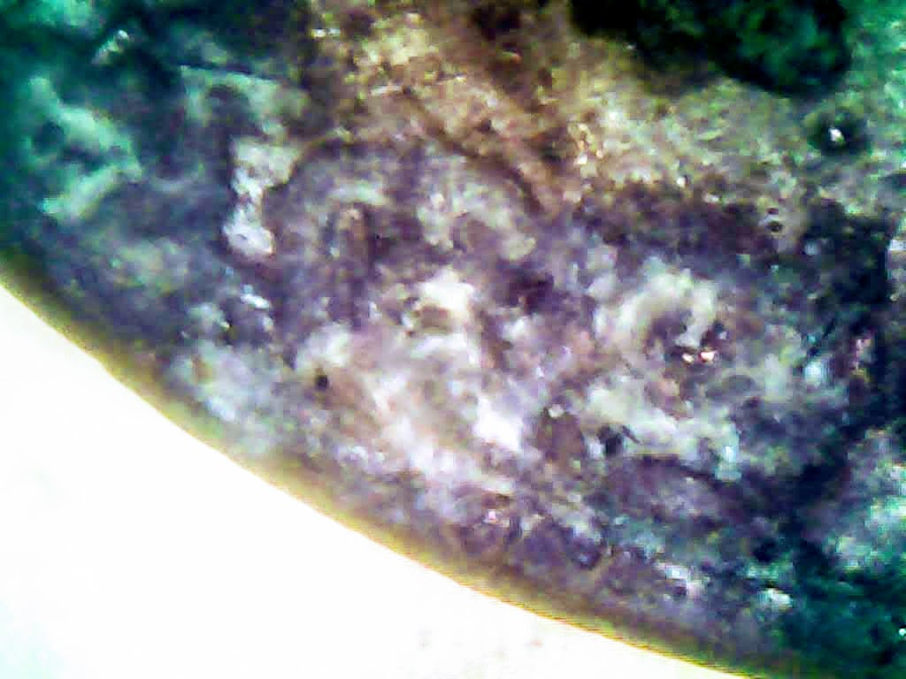 0224-23.jpg