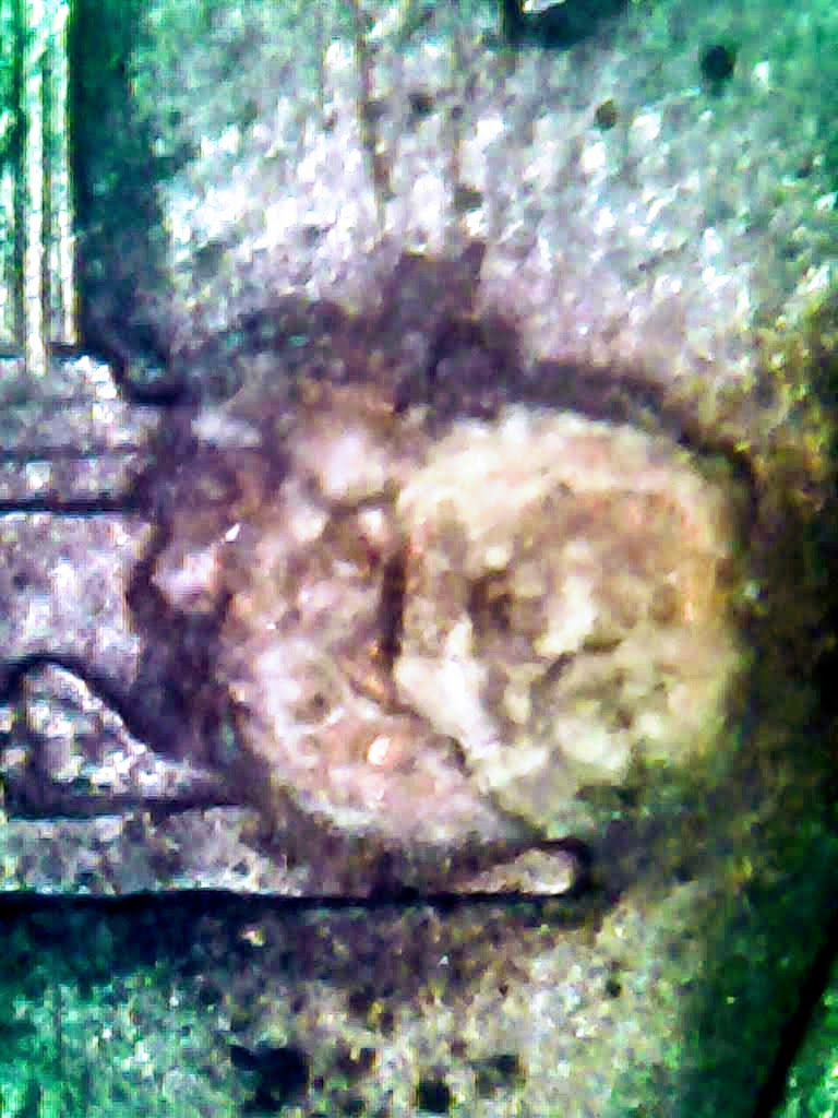 0224-33.jpg