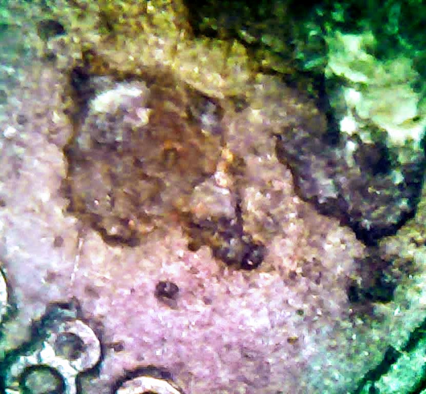 0224-5.jpg