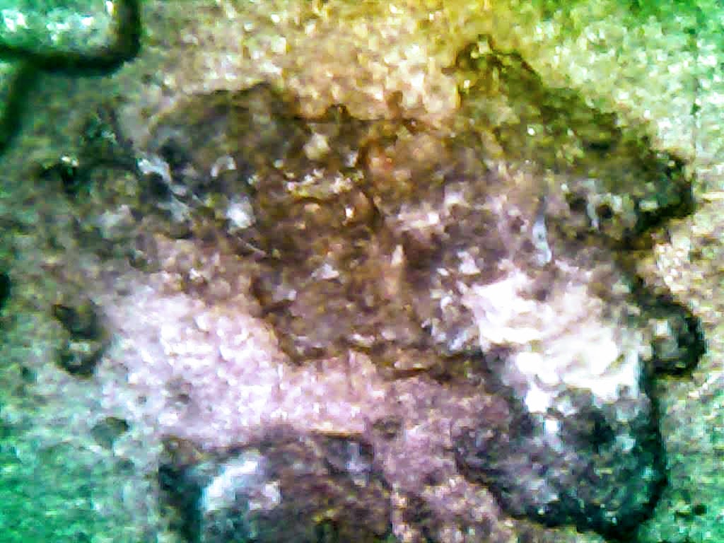 0224-8.jpg