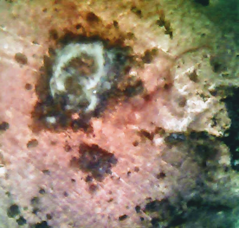 0225-4.jpg