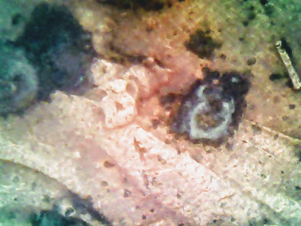 0225-6.jpg