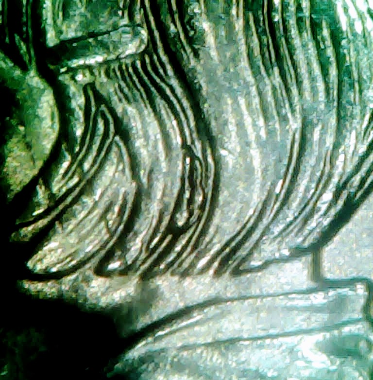 0305-11~2.jpg