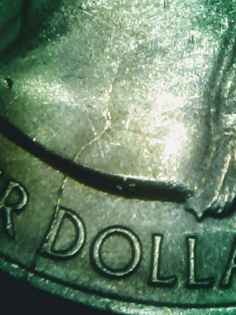 0305-4~2.jpg