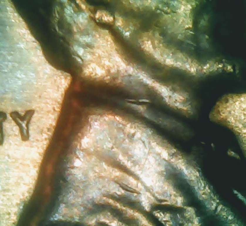 0307-6~2.jpg