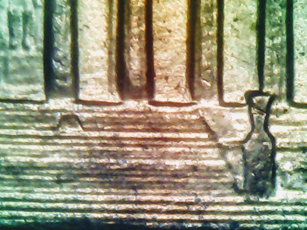 0309-13.jpg