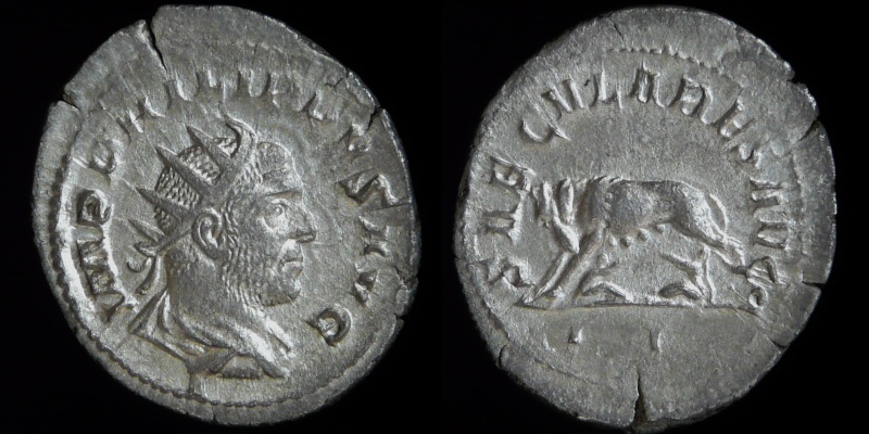 0310-220.jpg