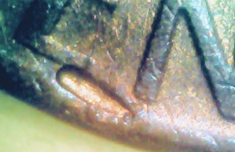 0317-16.jpg
