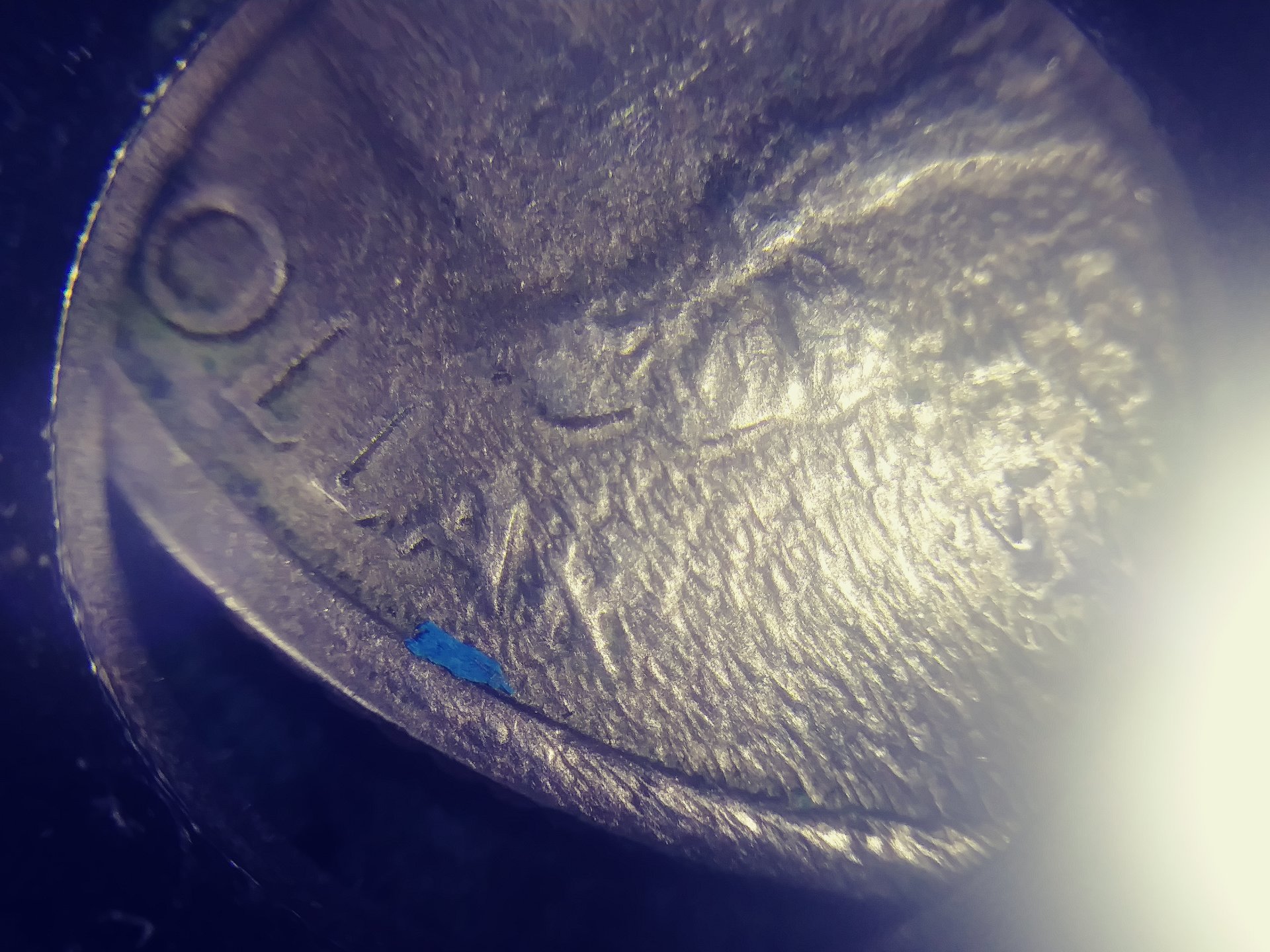 0317192221_Film1.jpg