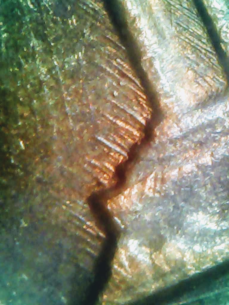 0322-11.jpg