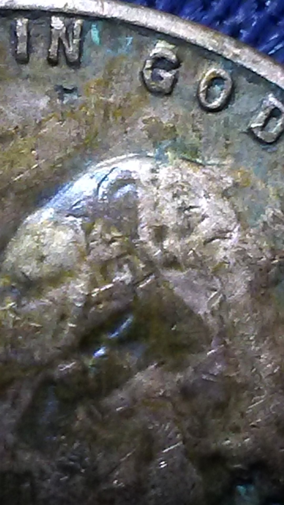 0327170319d.jpg