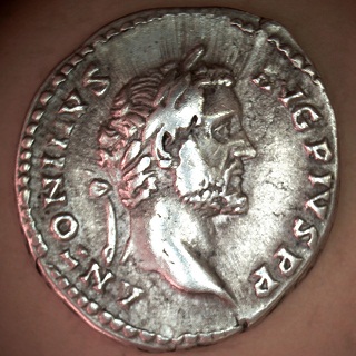 035-05A-Pius.jpg