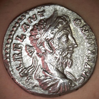 037-02A-Marcus.jpg