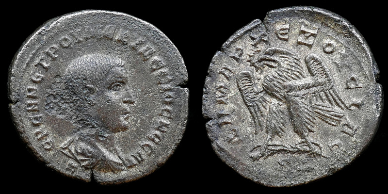 0370-410.jpg