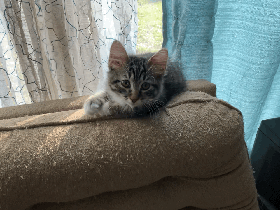 0390B5FE-8AC7-4928-870A-66B097889AF3.gif