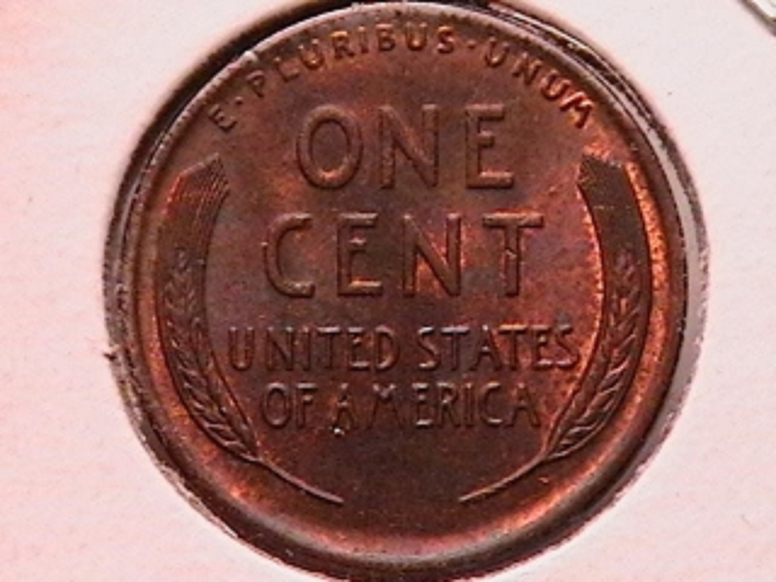 03f.jpg