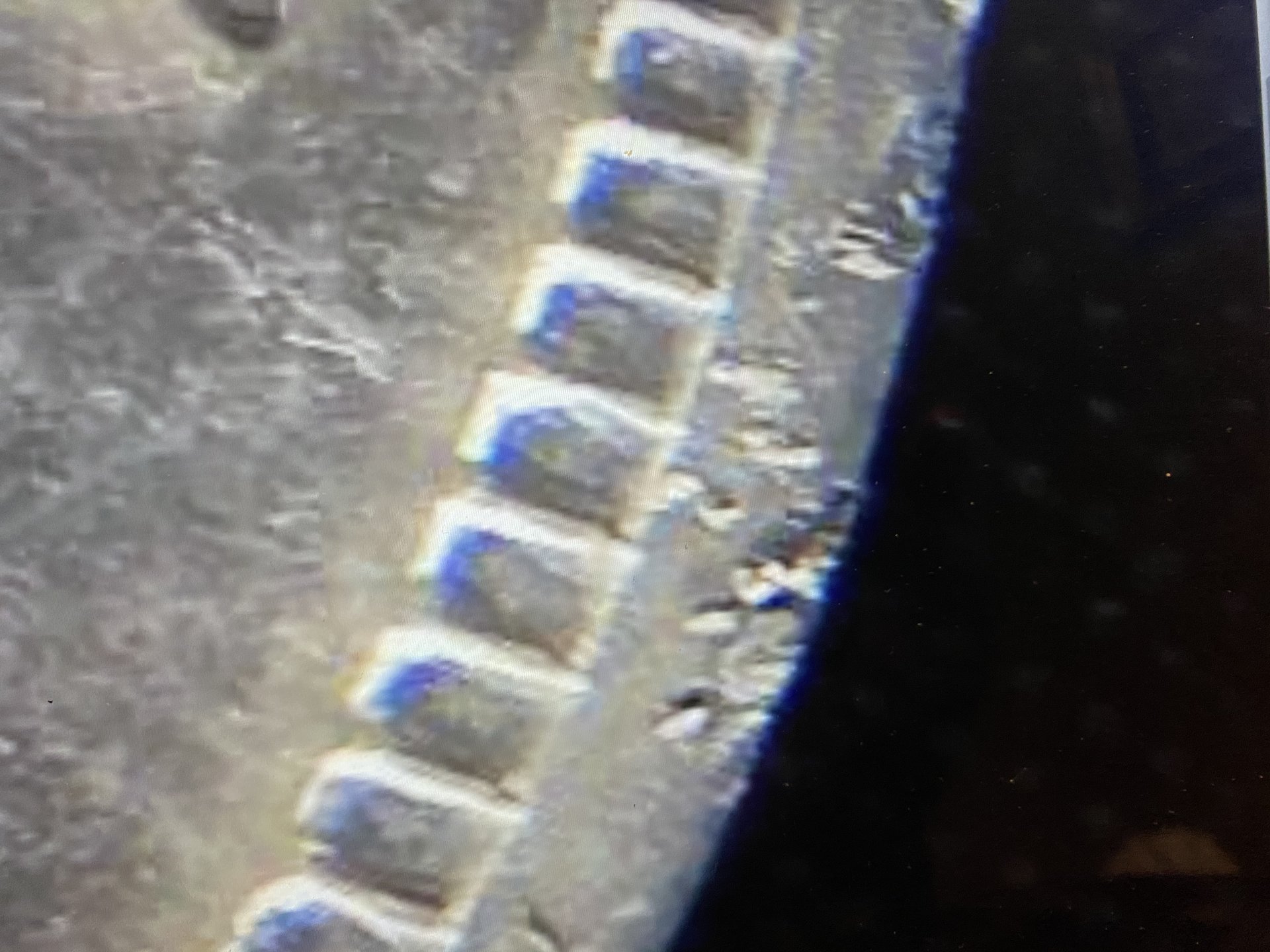 03F54366-5C65-4F75-874B-52ACFDC2FB70.jpeg