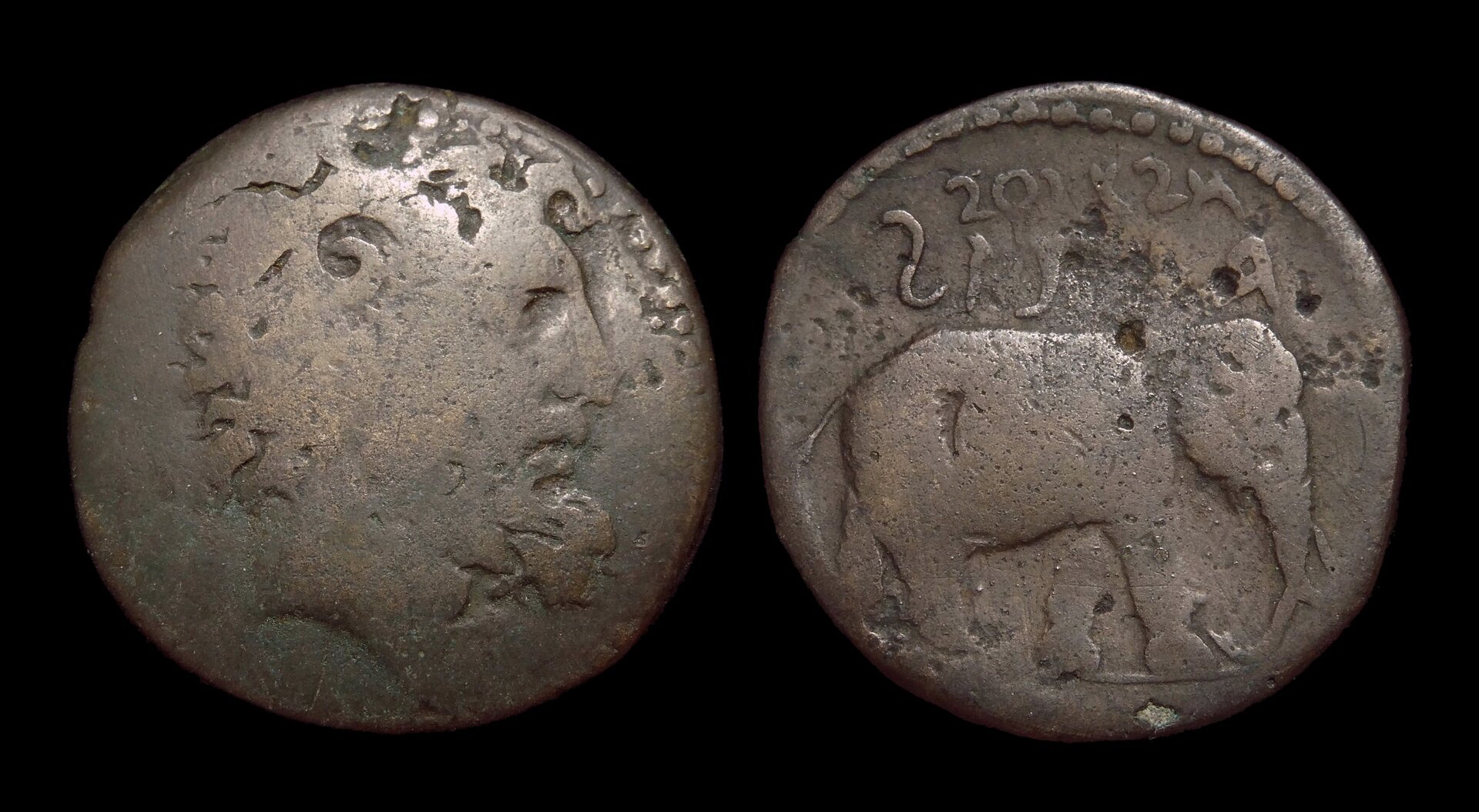 04 - 31-40 NUMIDIAN KINGDOM Juba I - AE28 ZeusAmmon Elephant 4214.JPG