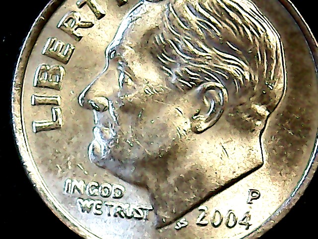 04-bug-1.jpg