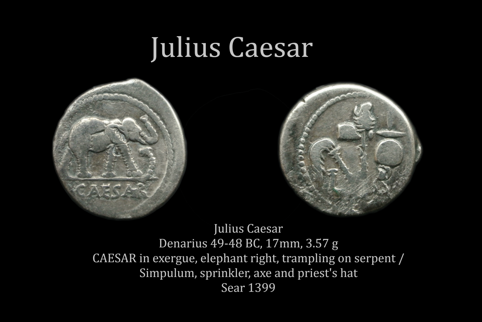 04 Caesar elephant.png