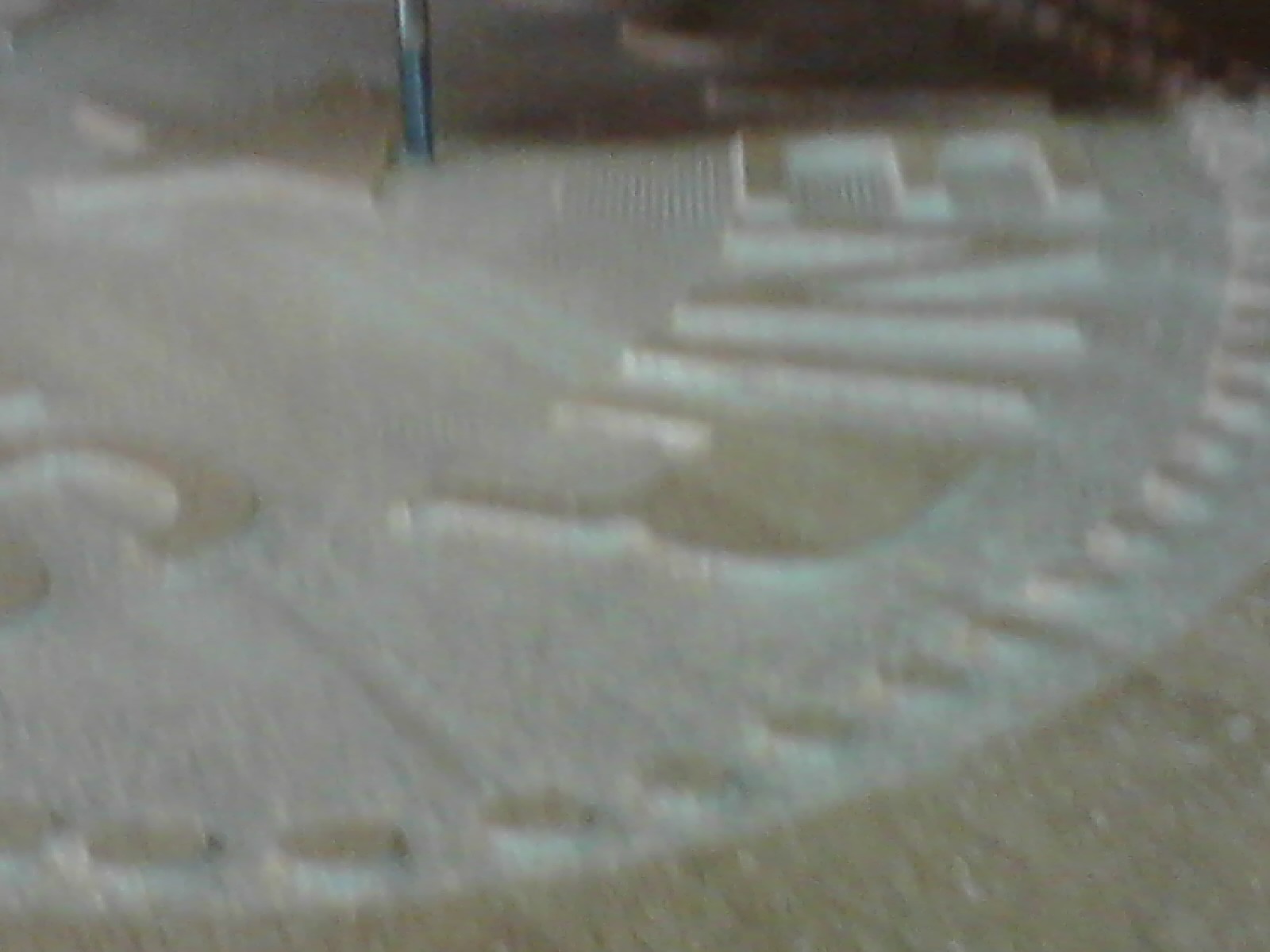 040.JPG