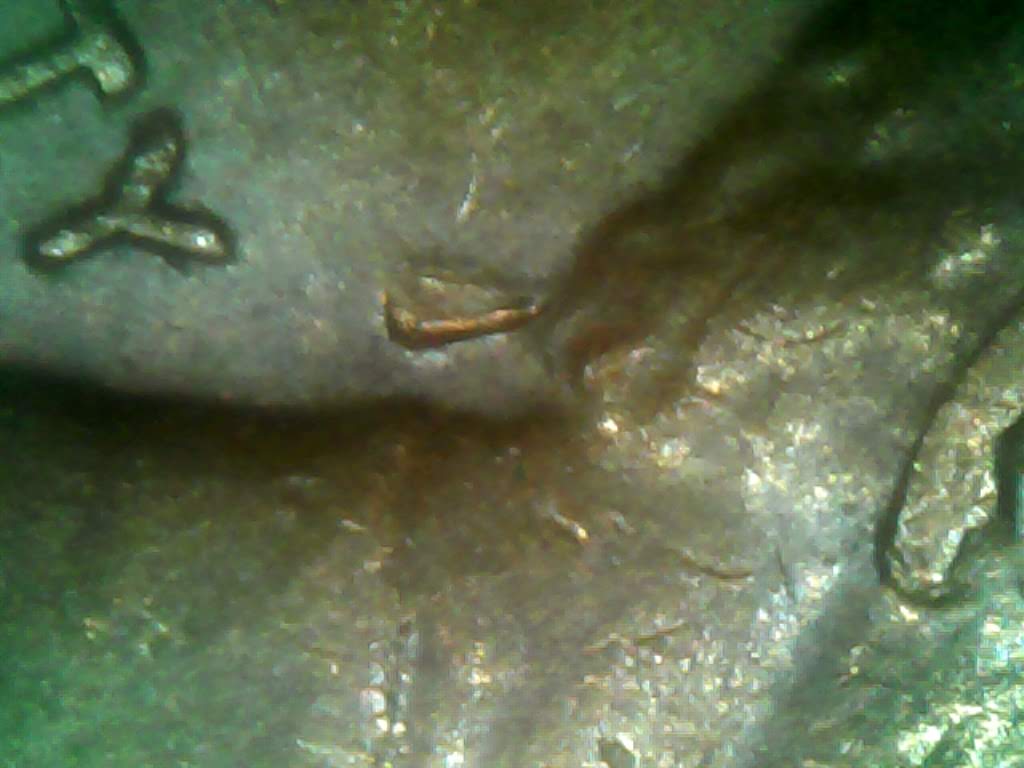 0401-11.jpg