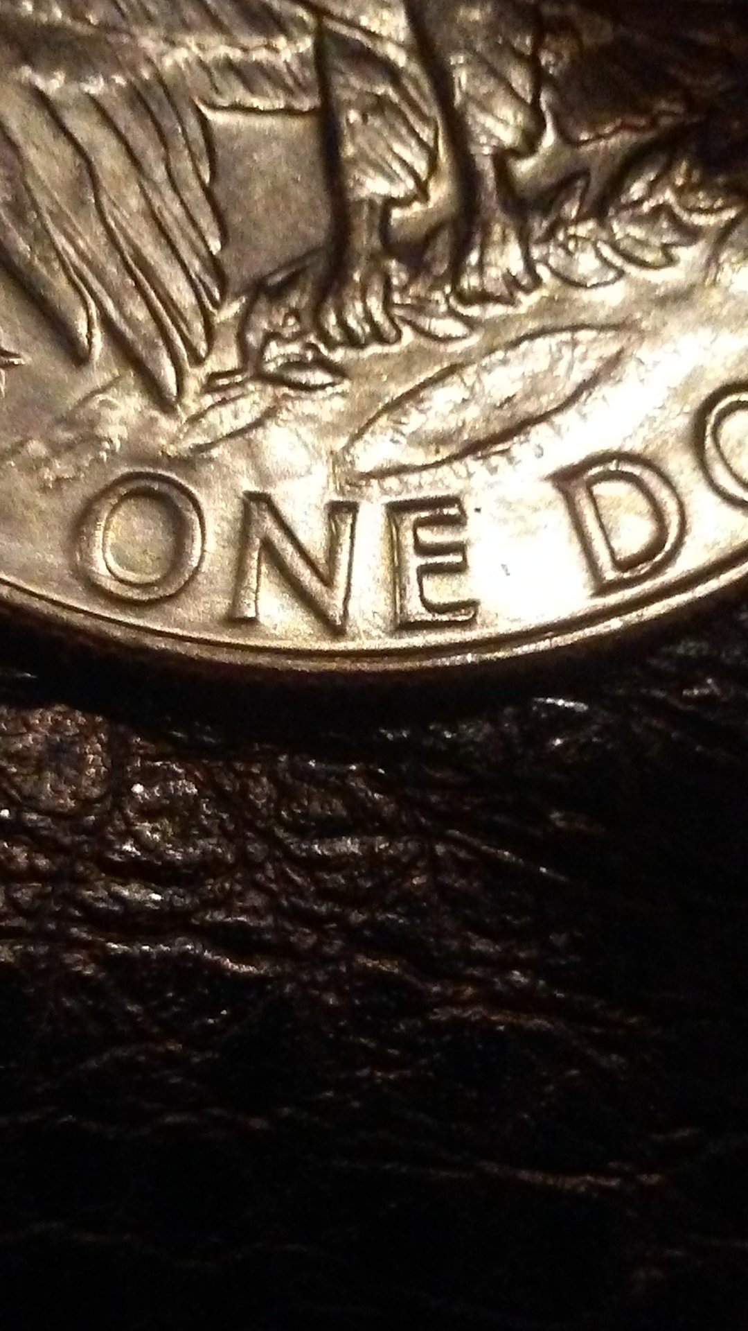 0408170404.jpg