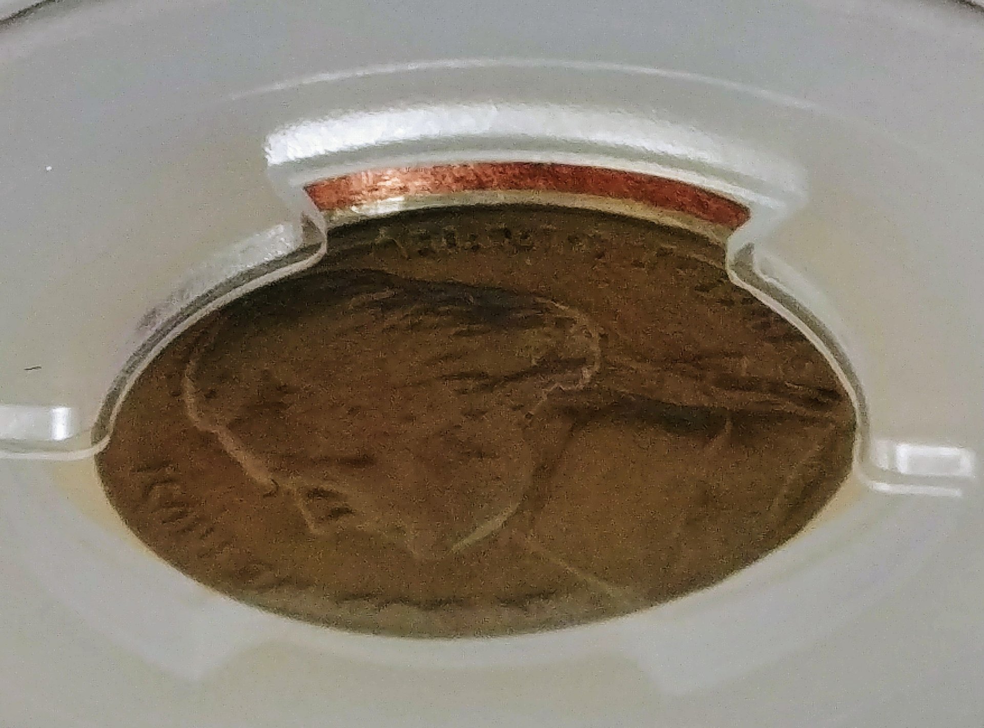 0410180731a_HDR.jpg