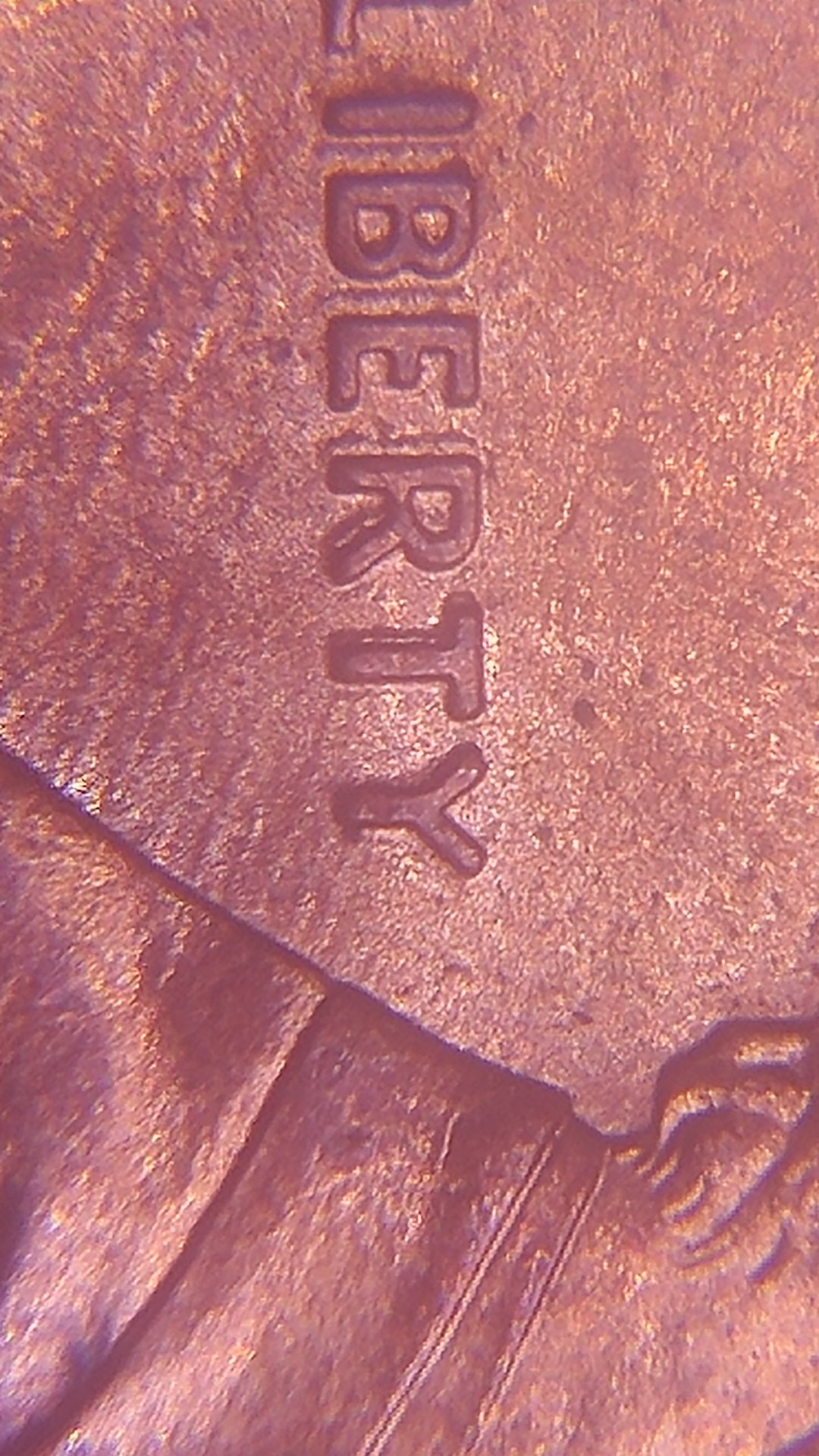 0421172335a.jpg