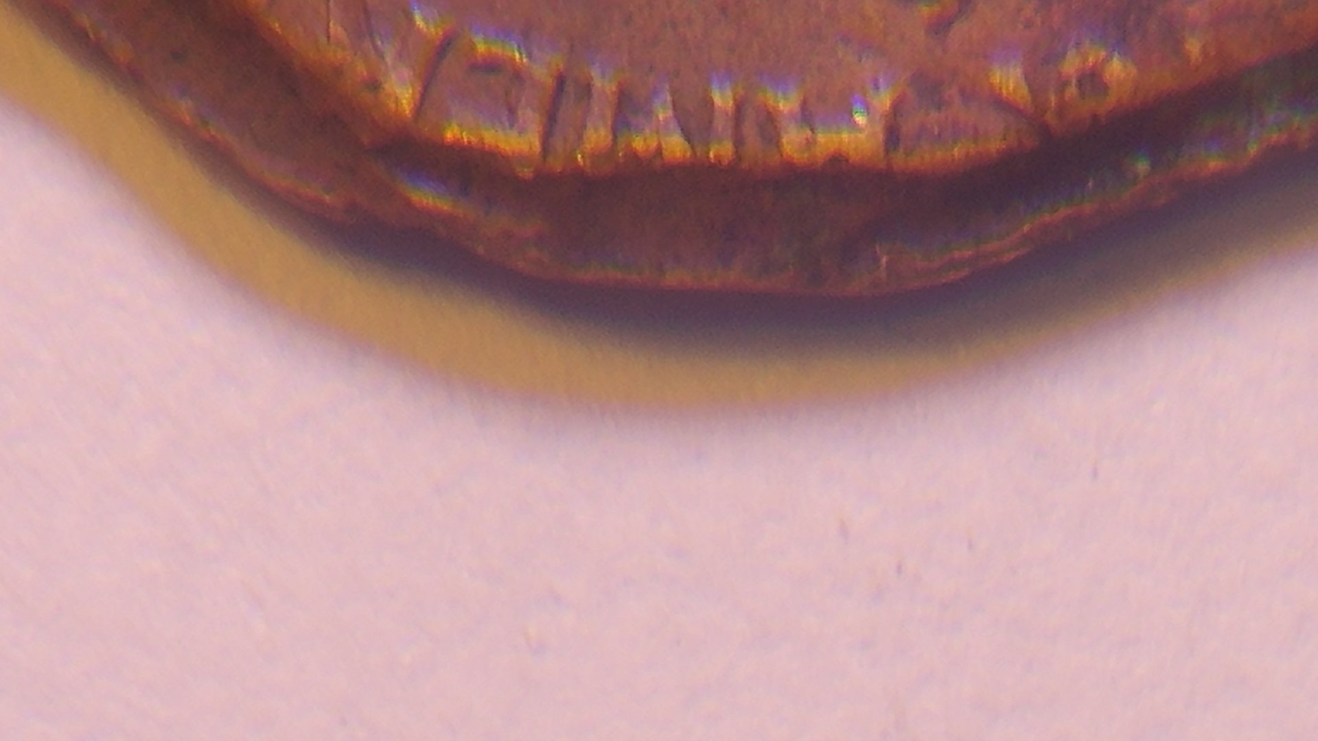 0422171606b.jpg