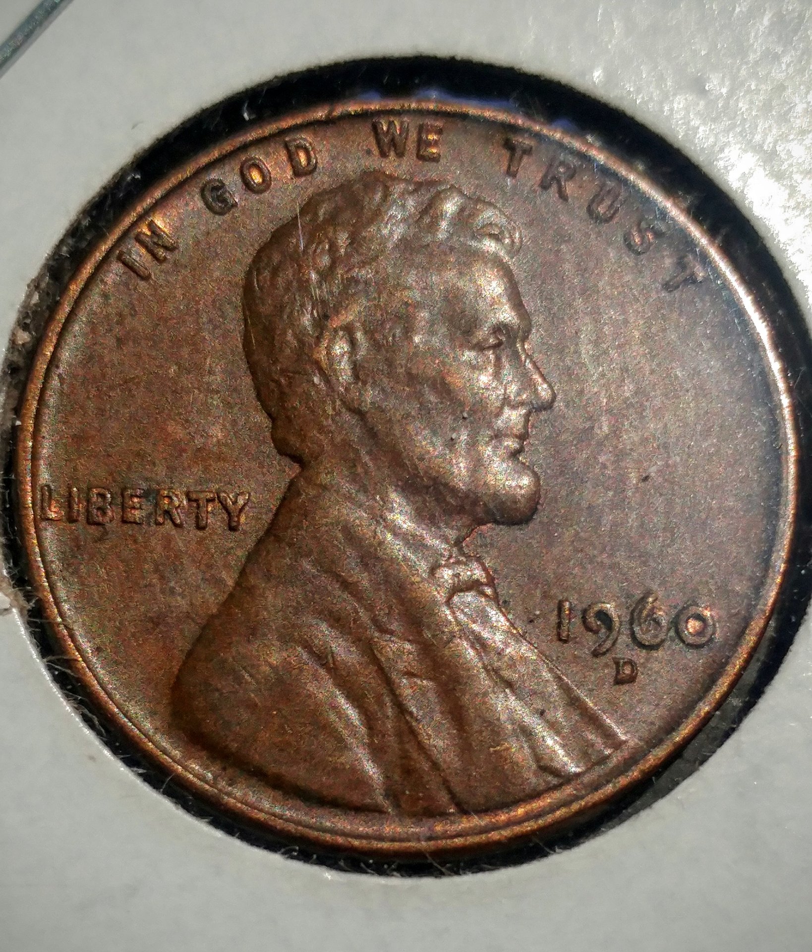 0425171328b.jpg
